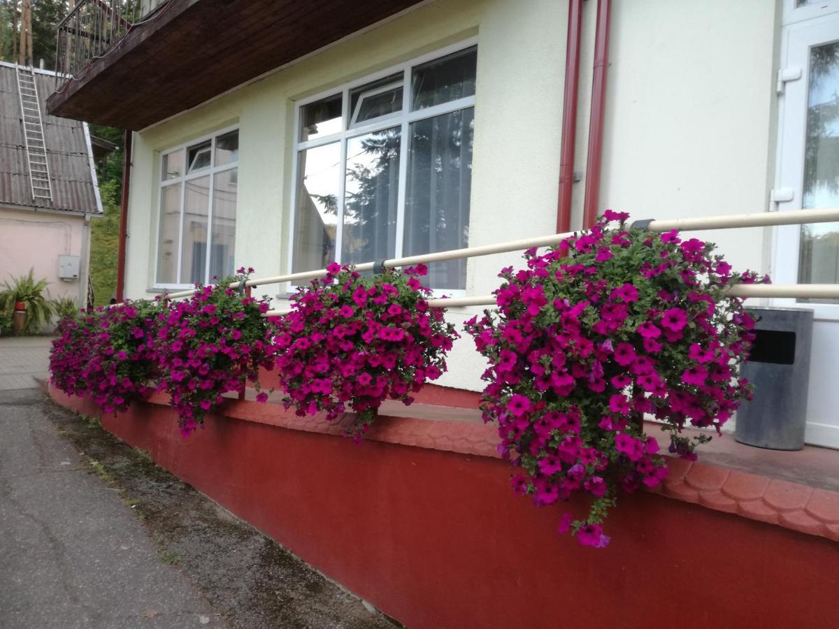 Sveciu Namai Aldaivita Ignalina Dış mekan fotoğraf